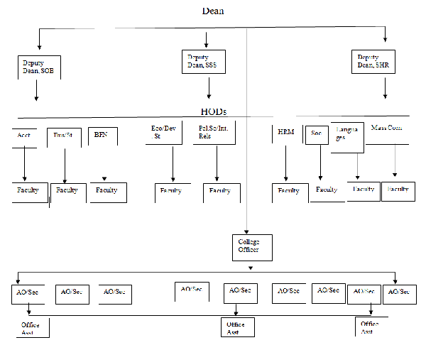 <strong>College Organizational Structure</strong>