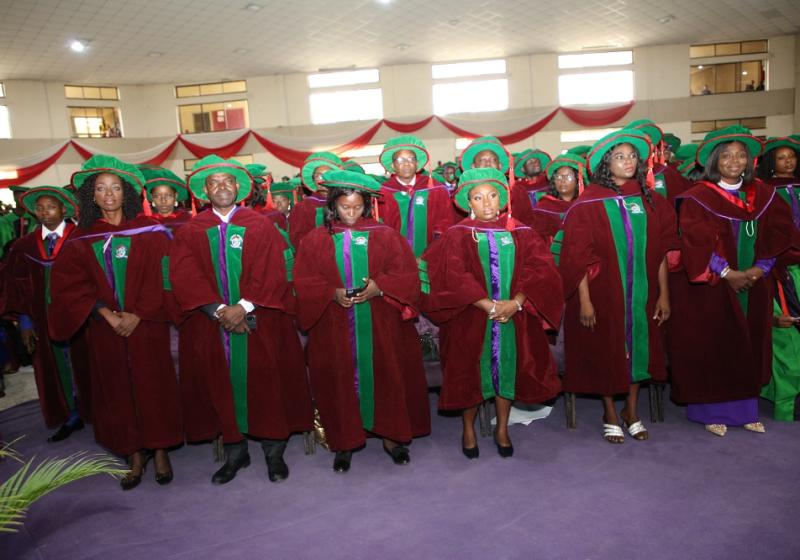 A Cross Section Of Doctoral Graduates