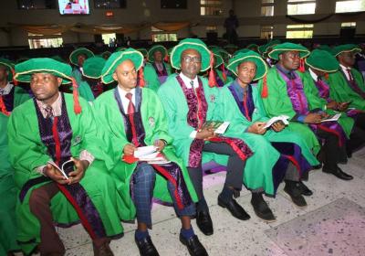 Another Cross Section Of The University Senate